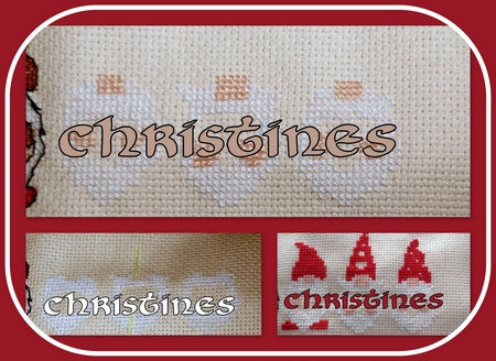 ChristineS_salfev22_col1