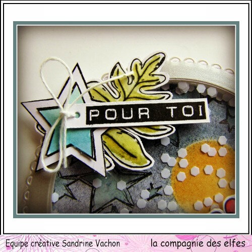 Carte Chouettes POUR TOI dt LCDE (3)