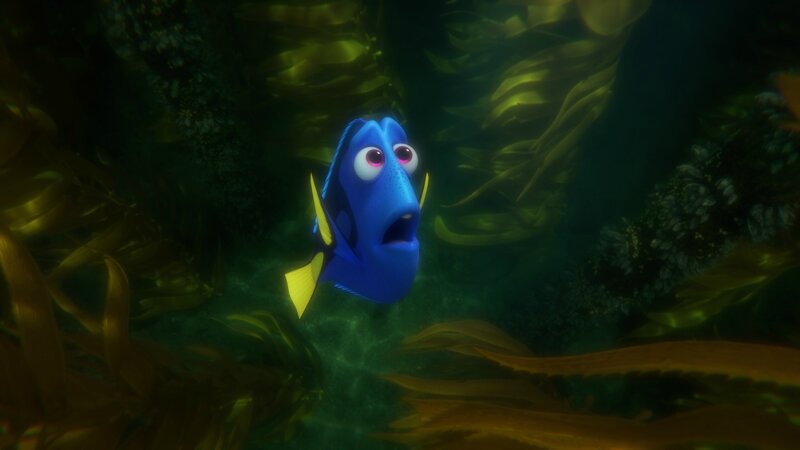 finding-dory-k204_122fpub2