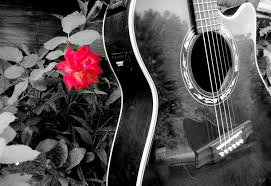 Guitare et rose