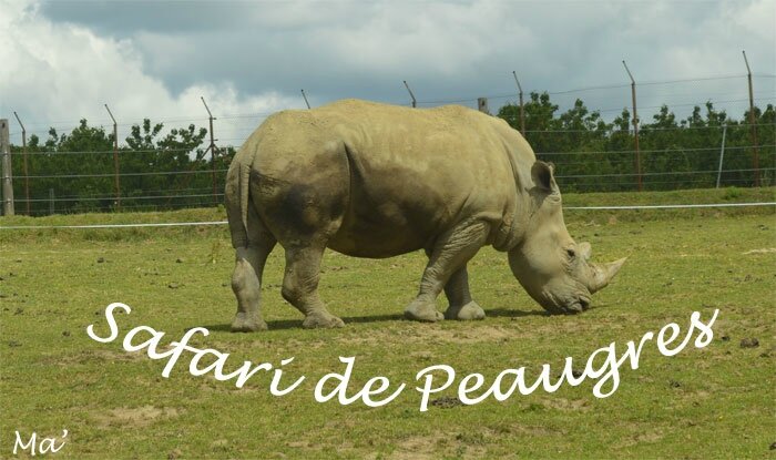 140529_peaugres_0