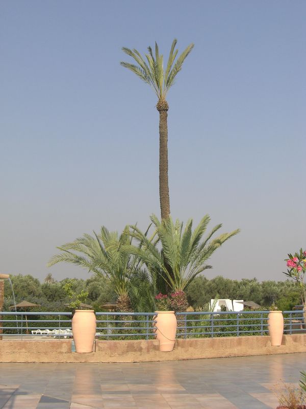 Marrakech_036