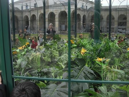 Ecole Arc en ciel Rosny (5)