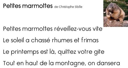 Petites marmottes de Christophe Sibille_190312