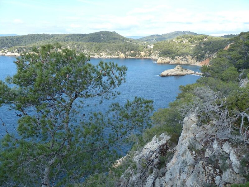 P1190006