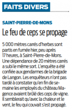 2018 05 21 SO Feu de ceps