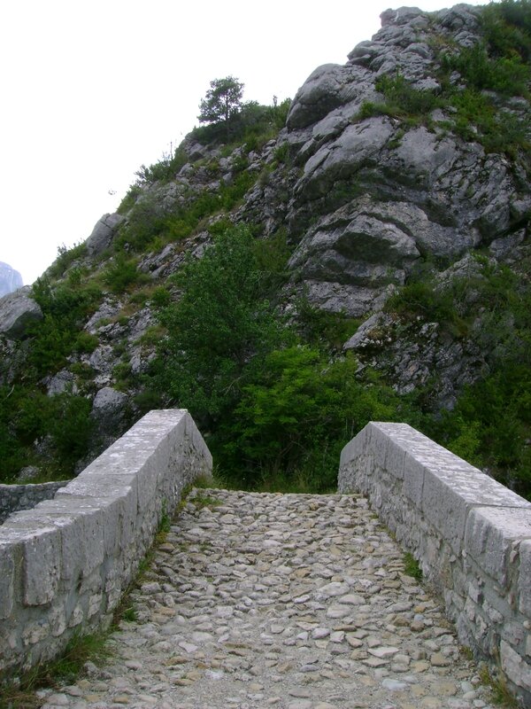 DSC06133