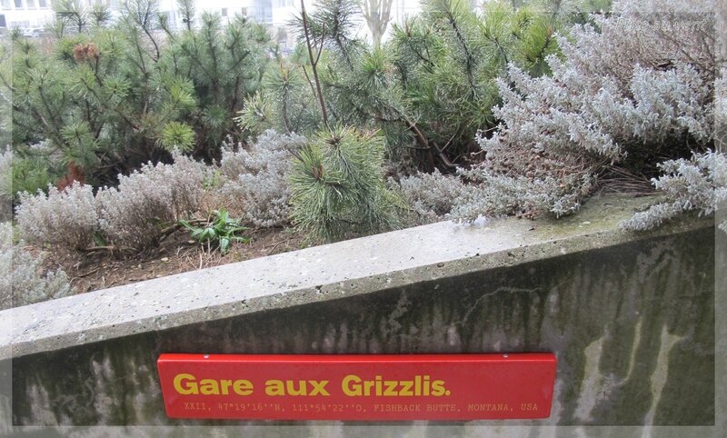 Gare aux grizzlis - 2