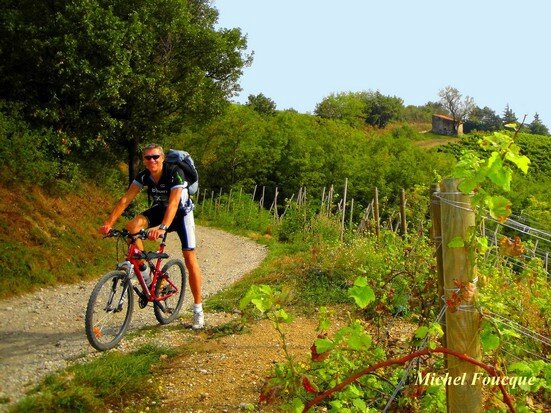 209) vtt à Seyssuel boucle Plat du Loup