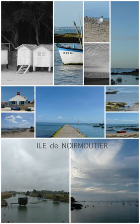 Noirmoutier_juil_2009
