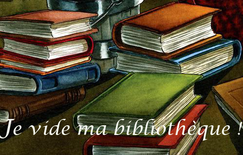 logo challenge vide ta bibli