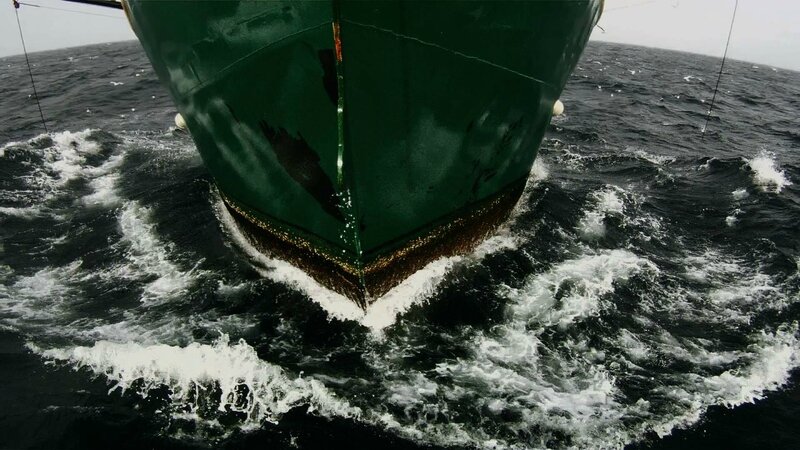 leviathan brenez