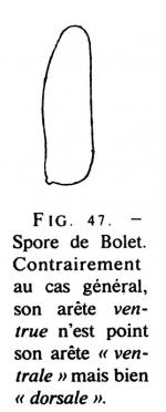 Joss Fig 47