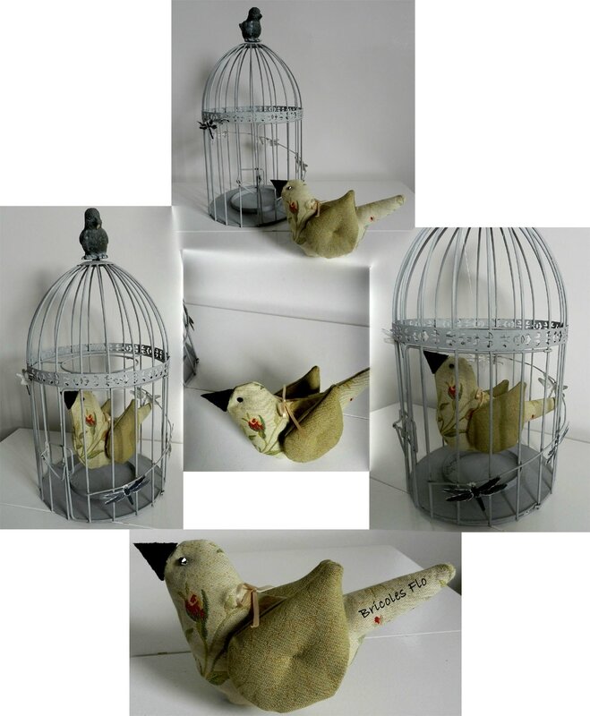 Oiseau cage 6