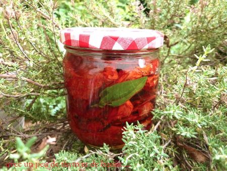 tomates sechees 5