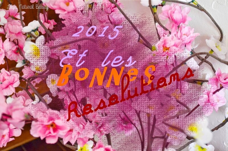 2015-bonnes-resolutions-L-LmfTOv