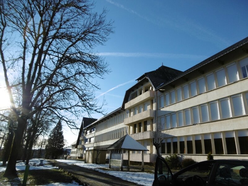 P1000373