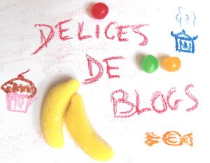 d_lices_de_blog