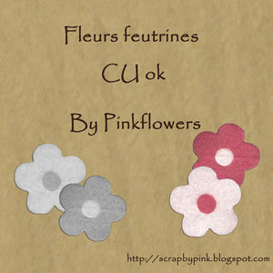 CU_fleurs_feutrines_23mai