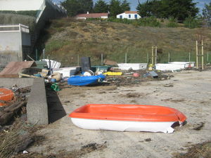 Temp_te_d_g_ts_Jard__Bourgenay__la_Tranche_sur_mer_019