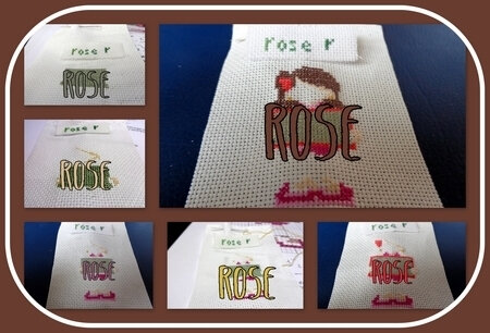 rose_salfev19_col2