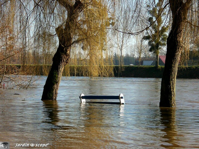 A Noyen-sur-Sarthe la rivière sort de son lit…