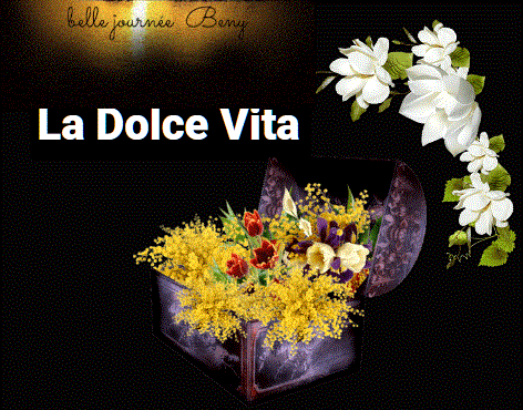 &bjr dolcevita