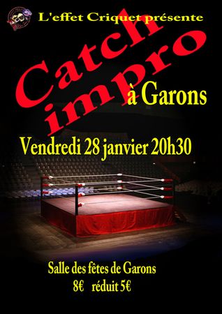 Garons_28_janvier_2011_quart