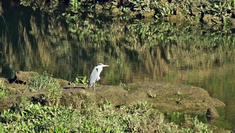 La Garonne 11