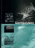 Gierzwaluwen_Nestkasten