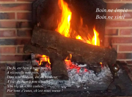 feu_de_bois_copie