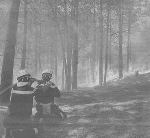 incendie_en_corse_3