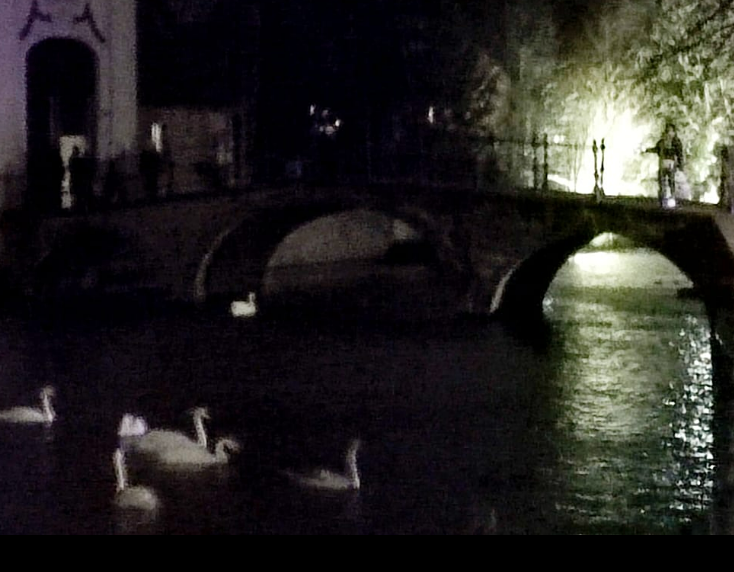 Capture d'écran 2023-12-29 084007