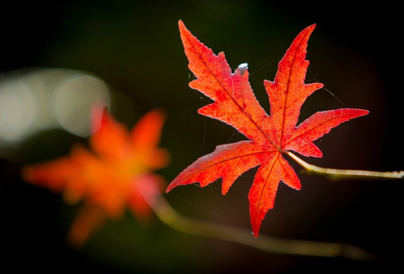 bretagne automne