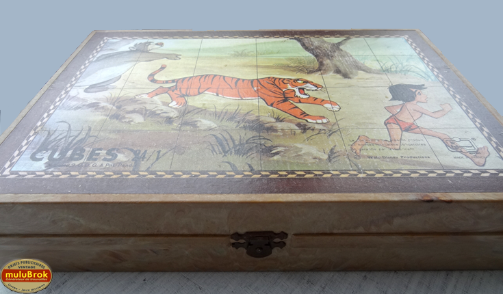 KB5 Livre Jungle muluBrok (3)