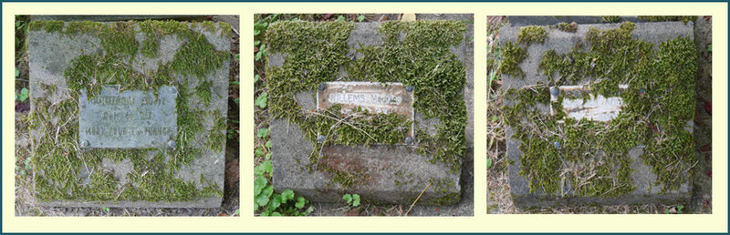 Plaques commémoratives du Cimetière Parisien de Pantin (c) C. MENOT