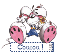 coucou_didl