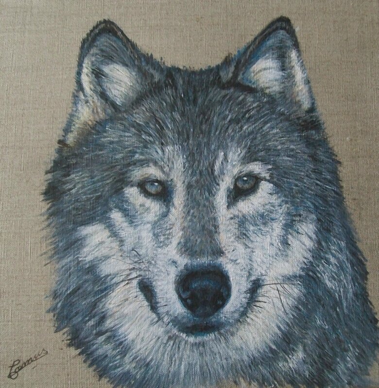 loup gris, acrylique, 30 x 30 cm 