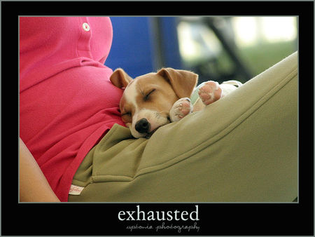Exhausted_by_ziptothestar