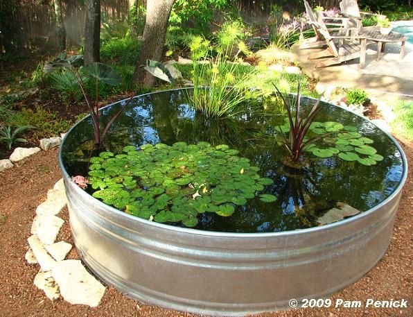 Stock tank container pond 1