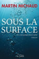 1708_1~v~Sous_la_surface