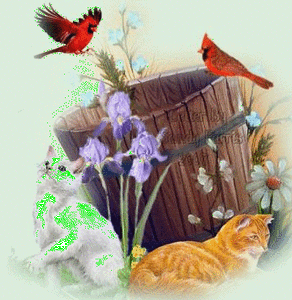 chat_oiseaux_fleurs