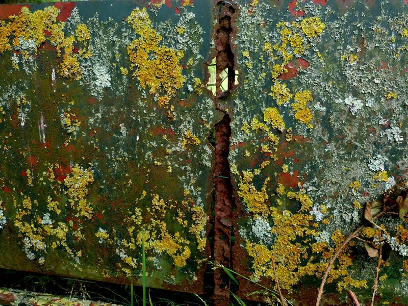 Couleur d'automne fin
