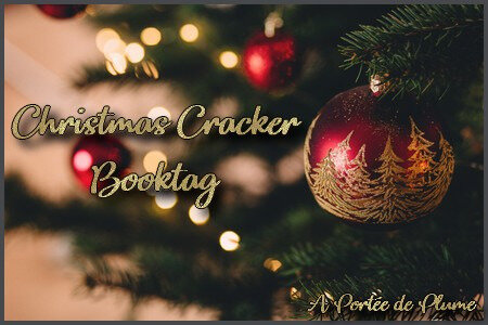 Christmas Cracker Booktag