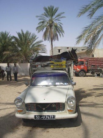 Tunisie_Douz_march__aux_bestiaux__voiture__ne