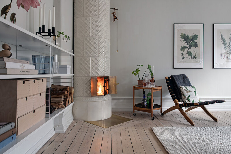 Scandinavian apartment (2)