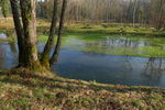 photos_divers_039