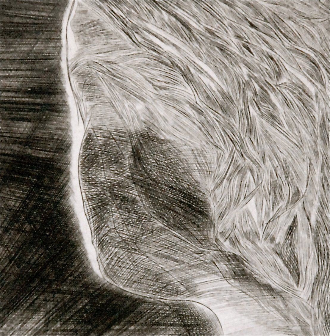 BG1_0203