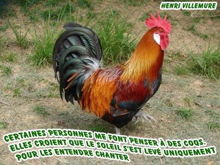 coqproverbehenrivillemure