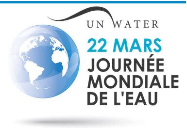 journée mondiale de l eau 22 mars PSEAU